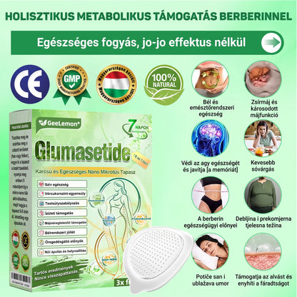 GeeLemon® Moringa + Berberin + NAD+ 15 az 1-ben nanomikrotűs tapasz | A testápolás új generációja fejlett nanoformulával